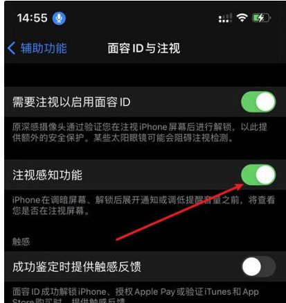 蒲城苹果14维修网点分享iPhone14注视感知功能有什么用 