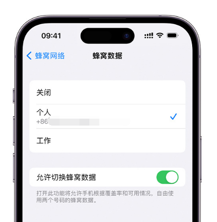 蒲城苹果维修服务分享如何在iPhone上使用双卡 